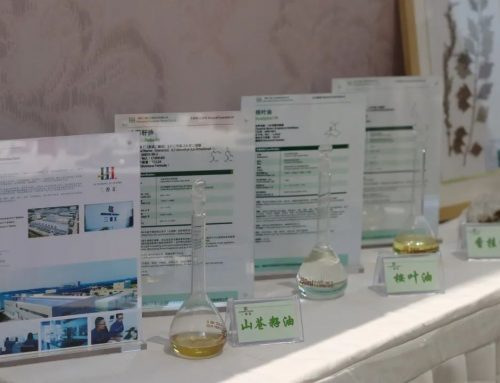 Participate in the exhibition 2022